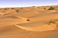 Désert (Sahara)